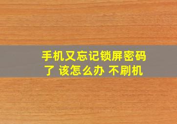 手机又忘记锁屏密码了 该怎么办 不刷机